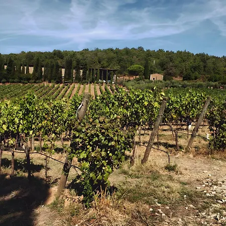 Lägenhet Sassaia Nel Chianti *