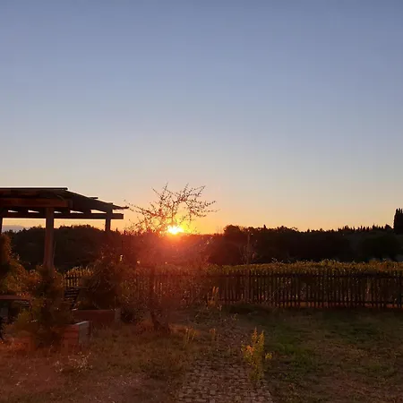 Sassaia Nel Chianti