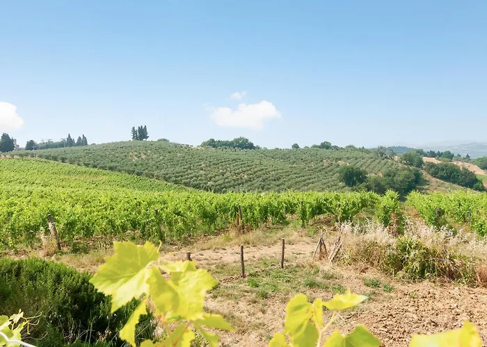 Sassaia Nel Chianti